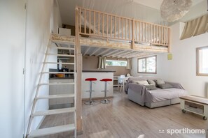 Télévision, cheminée, lecteur de DVD, livres