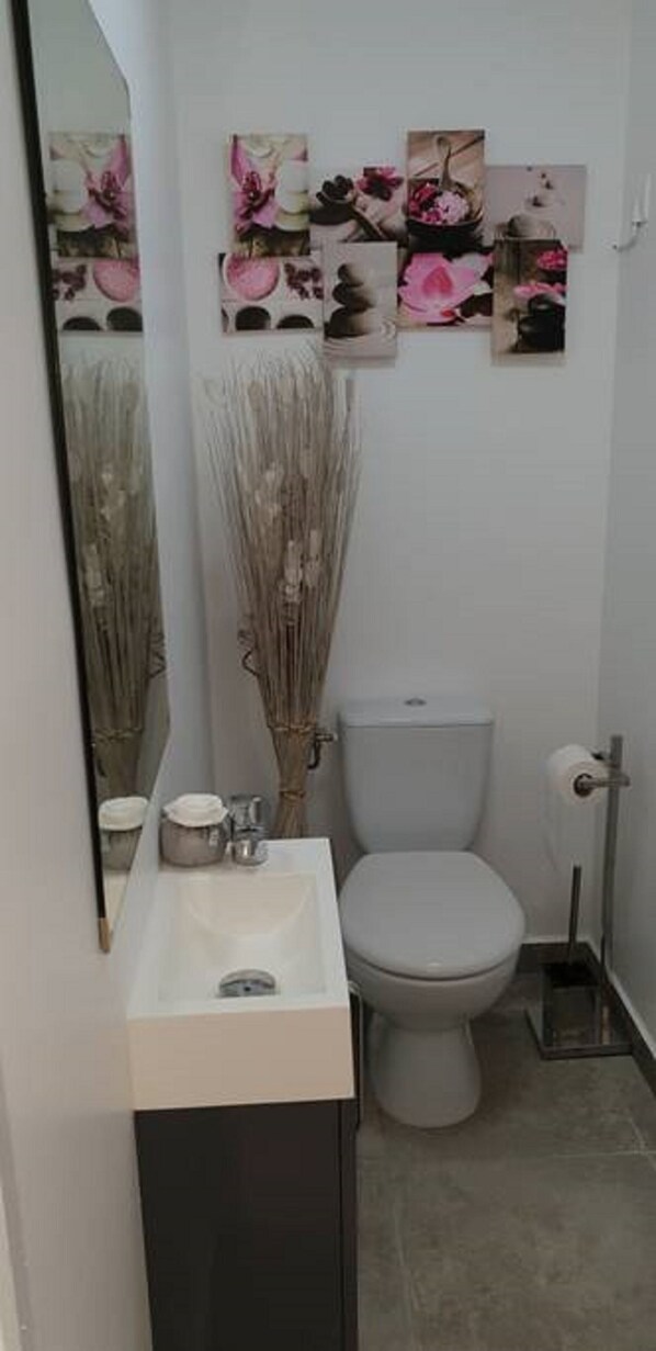 A bathroom with a white sink, toilet, and a mirror. There are floral wall art pieces above the toilet.