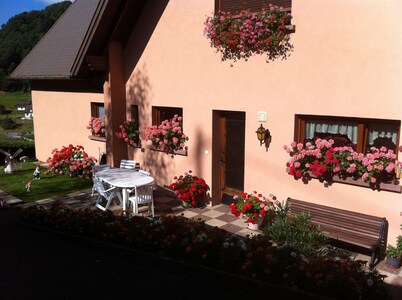 Calm, rest and relaxation on the program with this gîte located in the heart of Alsace
