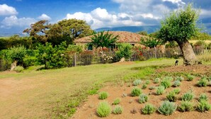A rustic house with a tiled roof, surrounded by a fenced garden with various plants and a large tree. - Apartments in an old renovated sheepfold  (Figari)
