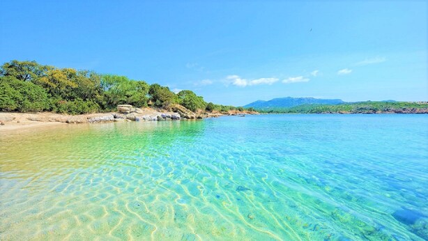 A clear coastal beach with visible sand and shallow water, surrounded by greenery and distant mountains. - Apartments in an old renovated sheepfold  (Figari)