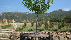 A wooden table with chairs, a stone wall, and a tree in a garden setting with mountains in the background. - Apartments in an old renovated sheepfold  (Figari)