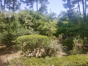 Photo non classée, 5 sur 25, bouton