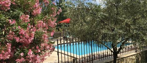 المنطقة المحيطة بالمنشأة