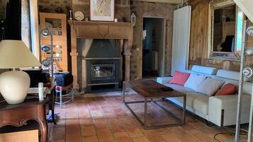 Télévision à écran plat, cheminée, lecteur de DVD, livres