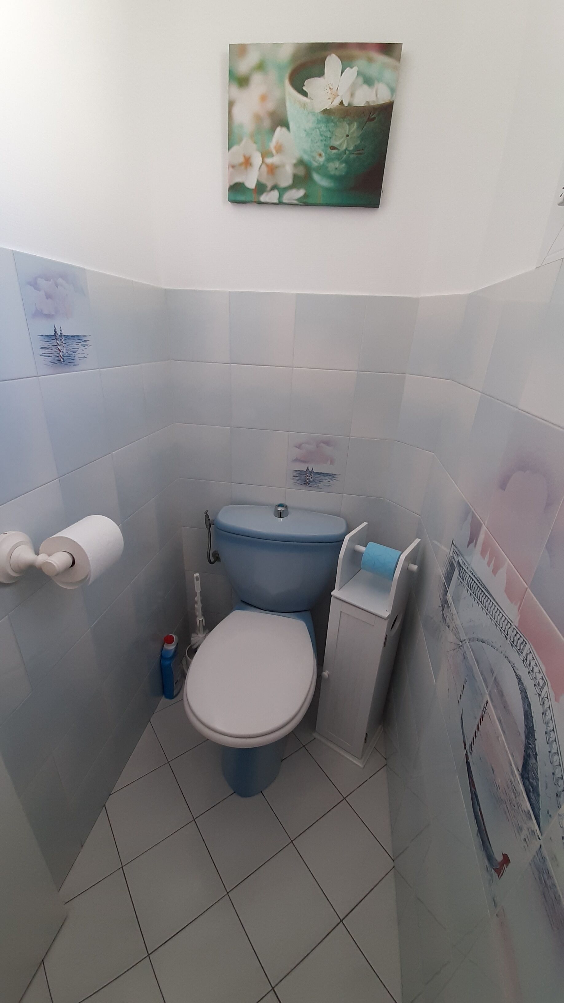 Une petite salle de bain comprenant des toilettes, un porte-rouleau de papier toilette et une petite étagère.