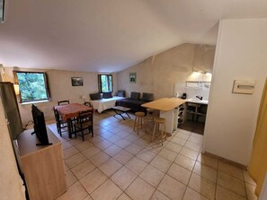 Televisio, takka, DVD-soitin, kirjoja