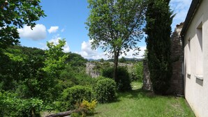 A lush garden with a stone wall, a large tree, and a building with a white facade.