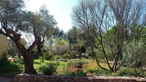 A garden with a stone wall, various trees, and a clear sky. - Provencal Mas absolute quietness, nice facilities (La Farlède)