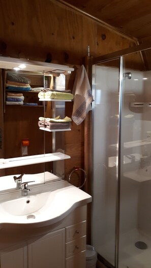 Shower, hair dryer, towels, toilet paper