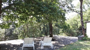 Property grounds - Quiet chalet, between sea and mountain (Isolaccio-Di-Fiumorbo)