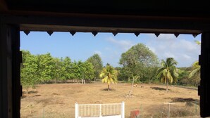 A view from inside a building looking out to a fenced yard with trees and a palm tree. - "Lisoé Lodge, a stone's throw from the sea  (LE MOULE)