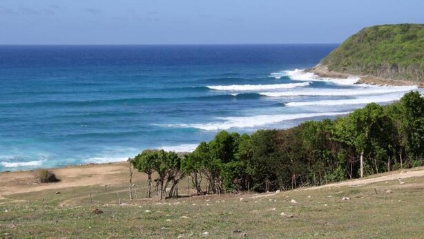 A coastal landscape with a beach, ocean waves, and a grassy area with trees. - "Lisoé Lodge, a stone's throw from the sea  (LE MOULE)