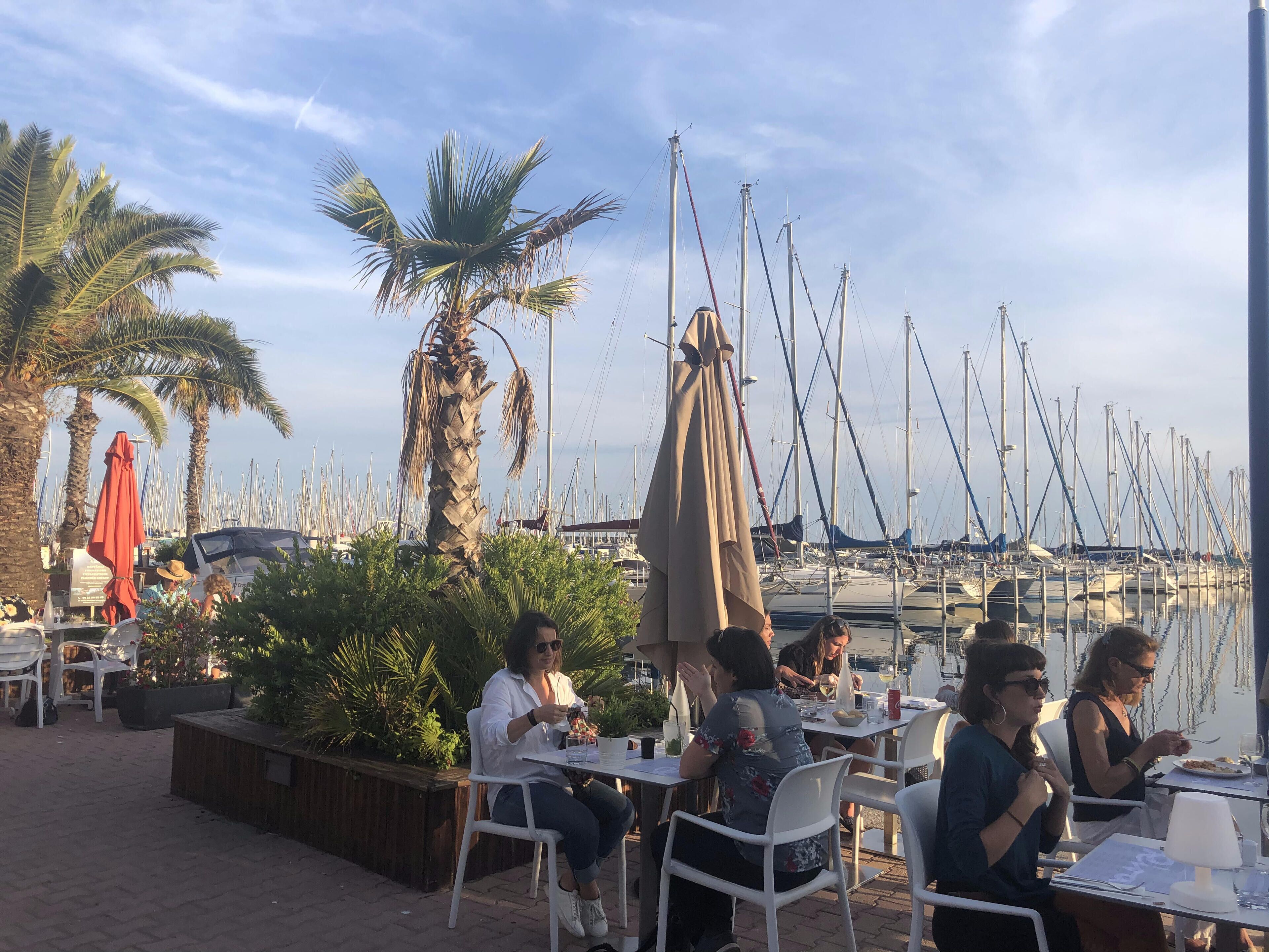 An outdoor dining area with tables and chairs, surrounded by palm trees and a marina with boats in the background.