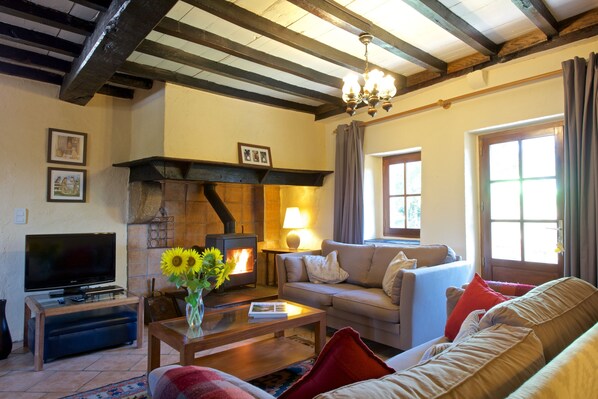 تلفزيون، مدفأة، مشغل دي في دي، كُتُب