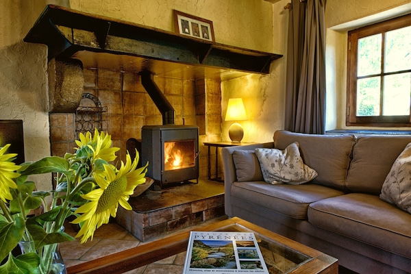 Televisión, chimenea, reproductor de DVD y libros