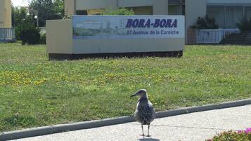 DĂ©tail de lâextĂ©rieur