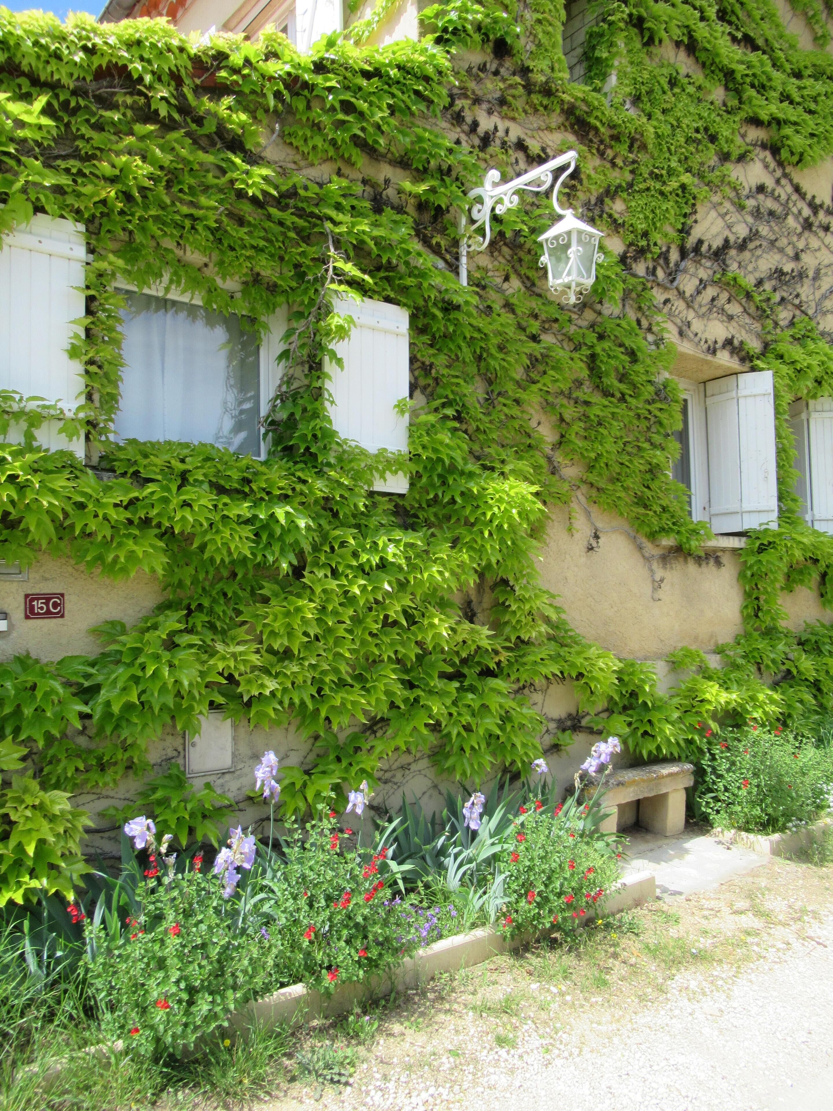 Un bâtiment aux murs recouverts de lierre, une porte blanche et un banc au premier plan.