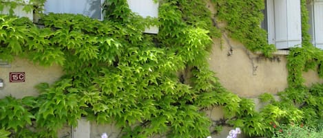 A building with ivy-covered walls, a white door, and a bench in the foreground.