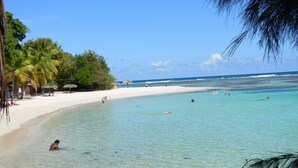 A beach with clear turquoise water, palm trees, and a sandy shore. - Apartments in Saint-Francois (SAINT FRANCOIS)