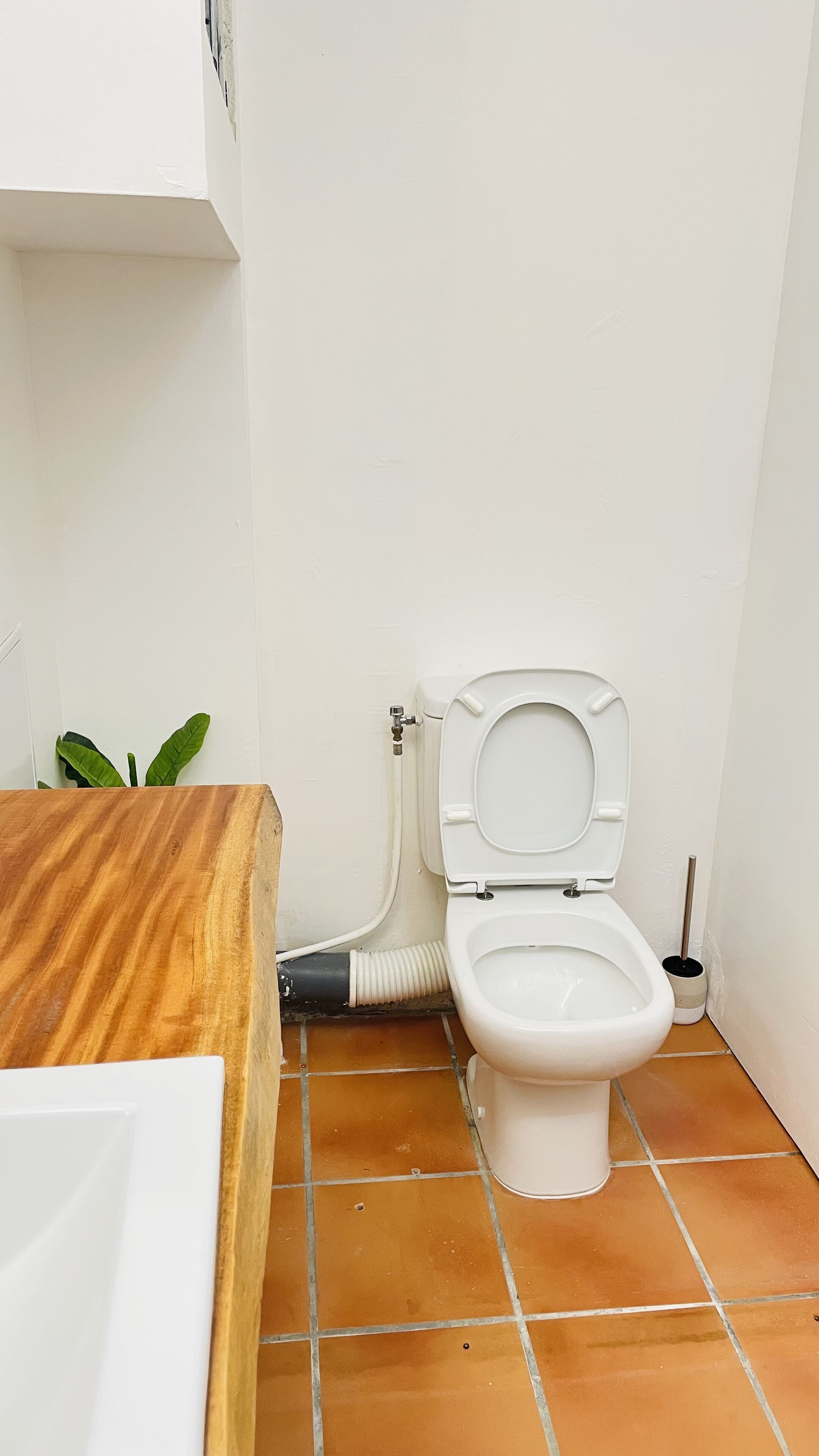 Un baño pequeño con inodoro blanco, tocador de madera y una planta verde.