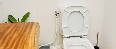 Un baño pequeño con inodoro blanco, tocador de madera y una planta verde.