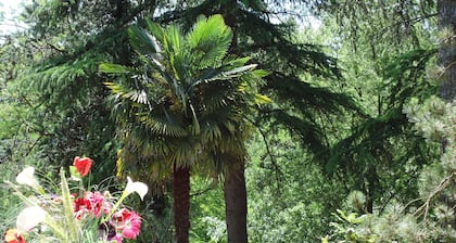 Very comfortable vacation home in a 3000 m2 park <br>VALLON PONT D'ARC