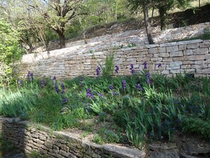 Property grounds - Very comfortable vacation home in a 3000 m2 park
VALLON PONT D'ARC (Vallon-Pont-D'arc)