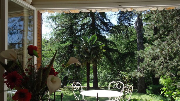 Eine Terrasse mit Tisch und Stühlen, umgeben von üppigem Grün und Bäumen.