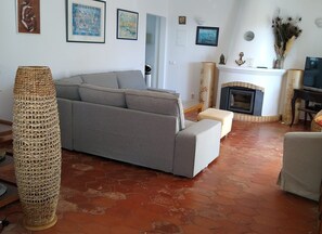 Télévision, cheminée, lecteur de DVD, livres