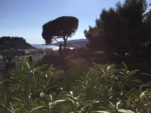 A coastal landscape with a prominent tree in the foreground, a view of the sea, and buildings in the background. - A beautiful, quiet 3-star apartment in a wooded park with a view of the bay (Cassis)