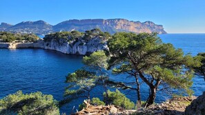 Beach nearby - Magnificent, quiet 4-star apartment in a wooded park overlooking the bay (Cassis)