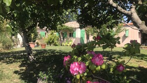 A garden with pink flowers, a wooden fence, and a building with green shutters in the background.