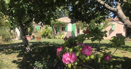 SANARY Small country house with garden. Small dogs accepted