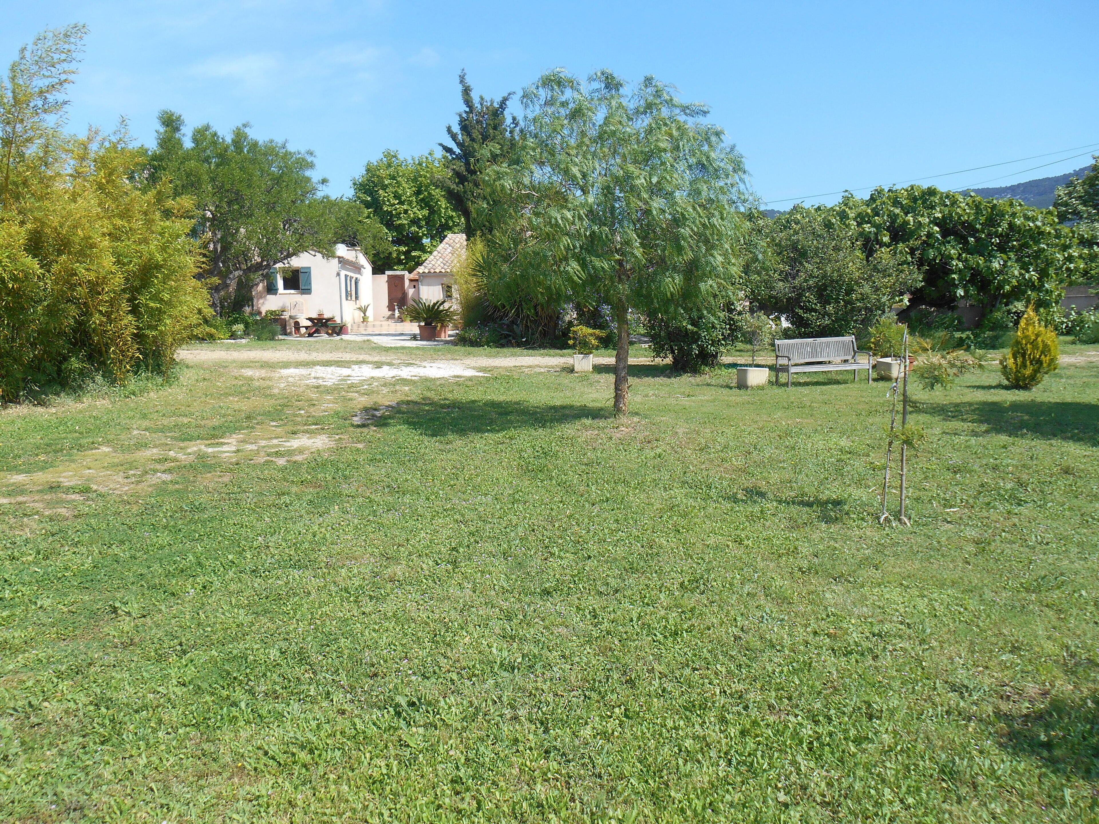 A grassy area with a bench, a small tree, and a building with a tiled roof.