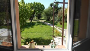 A window view of a garden with a pathway, a bench, and potted plants.
