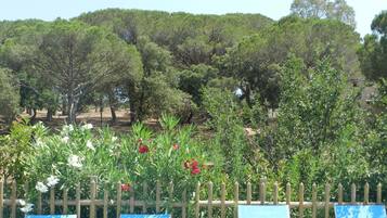 Terrein van de accommodatie