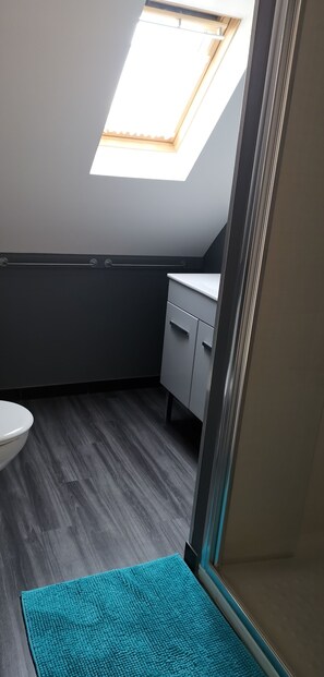 Dusche, Haartrockner, Toilettenpapier