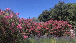 A garden with pink flowering plants and a stone wall. - MONTE-CINTO Stone house -PAGLIAGHJU- Gorges de l'Asco, not far from the sea  (Moltifao)