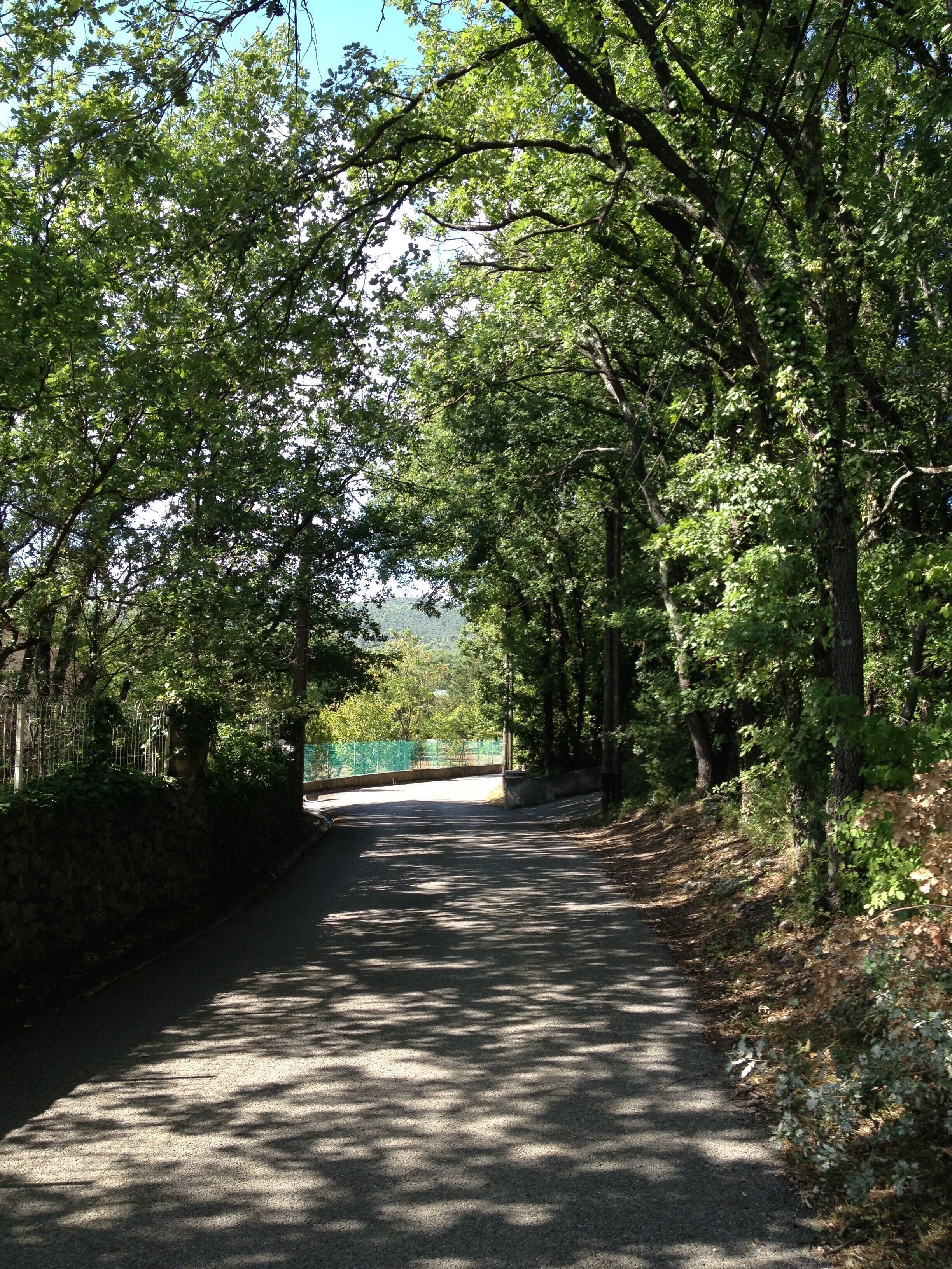 Un sentier pavé, bordé d’arbres, qui mène à un point de vue éloigné.