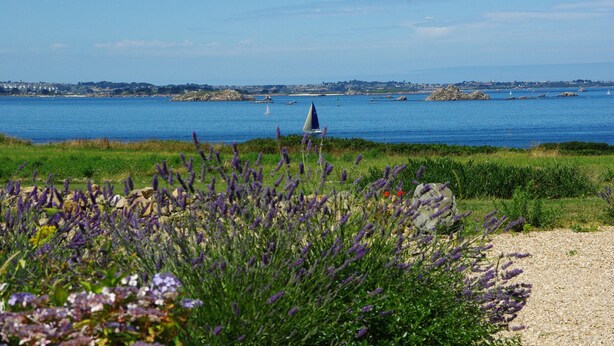 Kustlandschap met lavendelvelden, een zandpad en uitzicht op zee met boten en verre gebouwen.