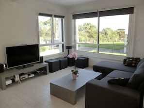 TV, fireplace, DVD player, books