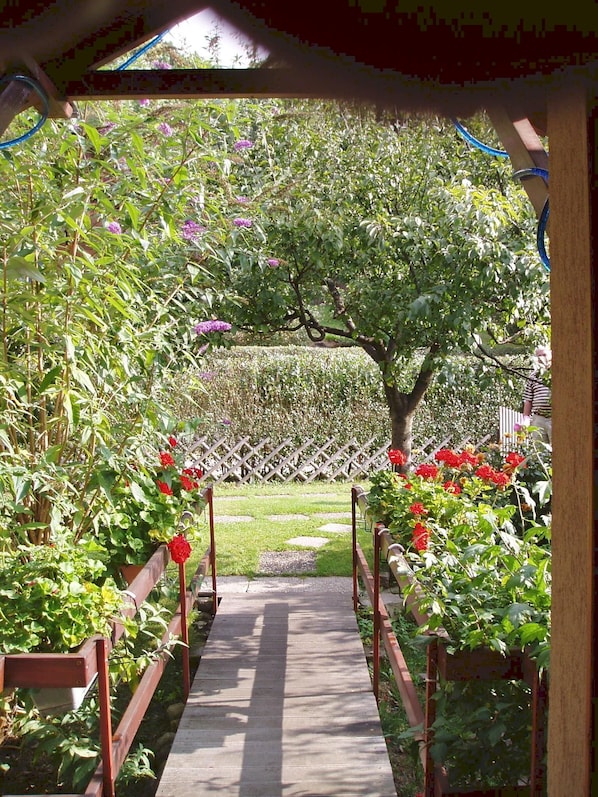 Un sendero de madera que atraviesa un jardín con diversas plantas y flores.