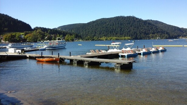 A marina with boats docked at wooden piers, surrounded by calm water and forested hills.