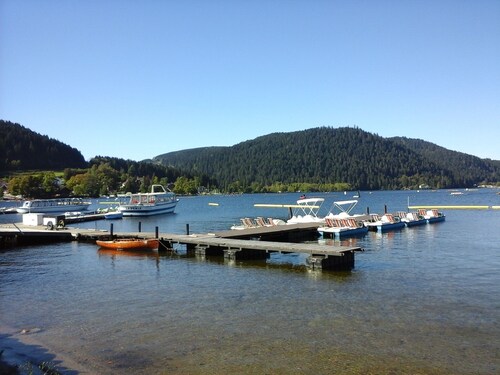 Bel appart  lumineux  classé ** 2/4 pers  200 m  du Lac et de la ville, Wi Fi .