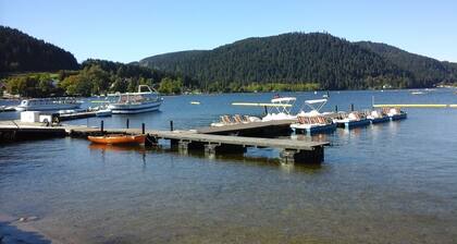 At 300 meters from the lake beautiful apartment 60 m2 near downtown with wifi and parking.