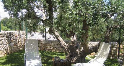 Schöne Trullo mit eigenem Garten in der Nähe des Stadtzentrums