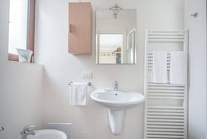 Shower, hair dryer, bidet, towels