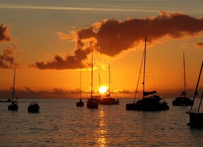 Beach nearby - bungalow with private pool (Deshaies)