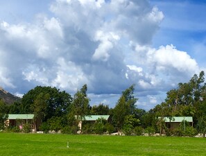 Een gazon met een golfgat, omringd door bomen en twee gebouwen met groene daken.